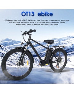 Bicicleta eléctrica BEOT21